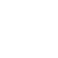 Digital Icon