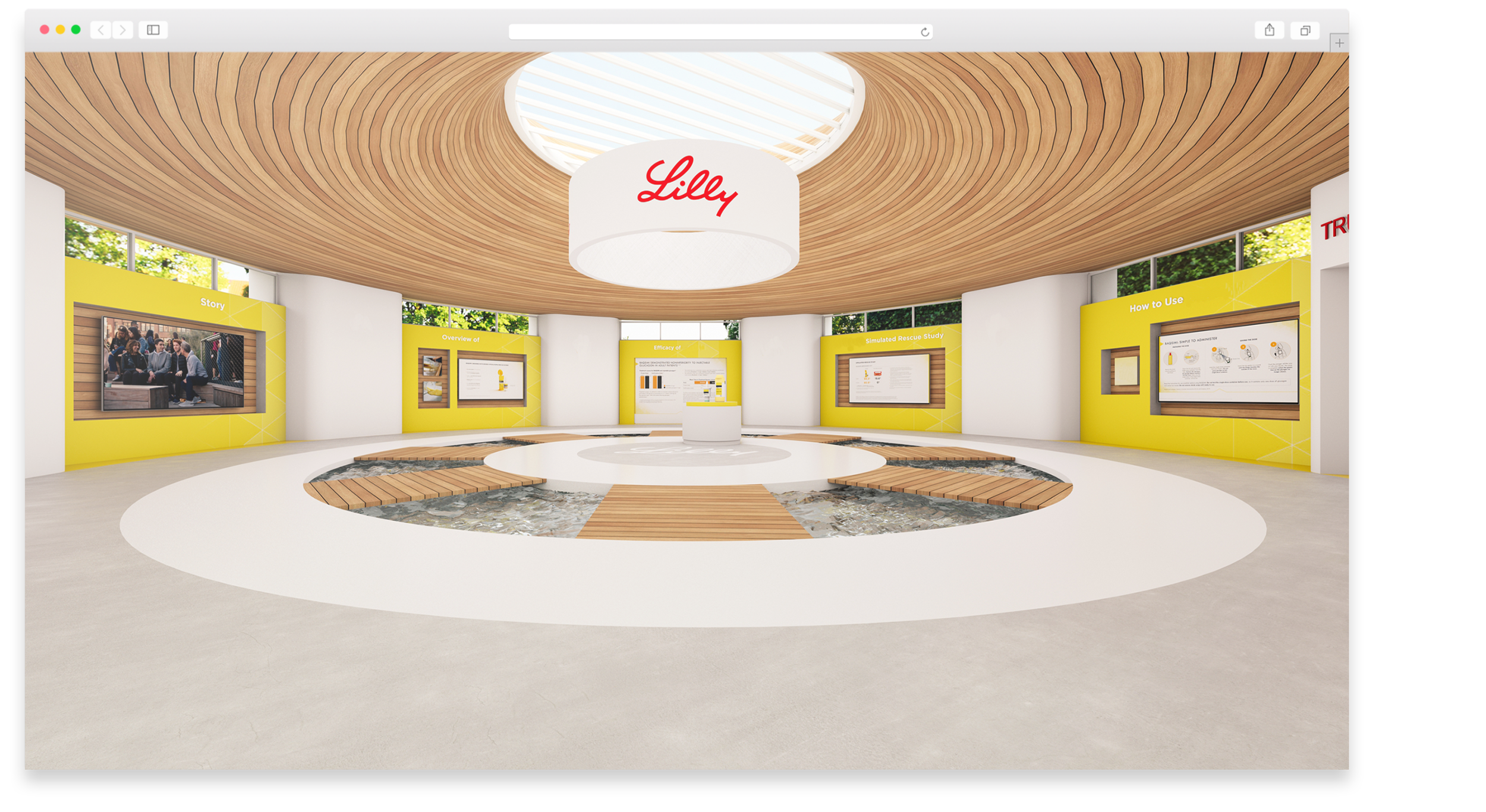 Eli Lilly Virtual Event